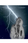 Picture for song 'hellbound remix' by artist 'odoggdamisfit'