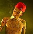 Picture for song 'I Get Money (Wiz)' by artist 'Official Rowdy Rod Piper'