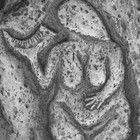 Picture for song 'dance music.7' by artist 'OK Creative'