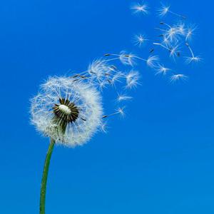 Picture for song 'New Life' by artist 'OleGun'