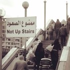 Picture for song 'Ded Mogtama3' by artist 'Omar Osman'