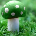 Picture for song 'Green Mushroom Flow' by artist 'OneUniquePerson'
