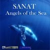 Picture for song 'Angels of the Sea - Instrumental Version' by artist 'ORION MUSIC AUSTRALIA'