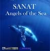 Picture for song 'Angels of the Sea - Vocal Version' by artist 'ORION MUSIC AUSTRALIA'