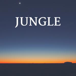 Picture for song 'JUNGLE - 146BPM - Dm Key (FULL MUSIC STAMP)' by artist 'WATT Beats'