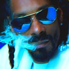 Picture for song '*SMOOTH* Roll one ft. Rawbeatzz' by artist 'pablo beats'