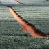 Picture for song 'Across Fields' by artist 'Paduc'