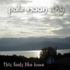 Picture for song 'Life Goes On' by artist 'Pale Moon Sky'