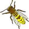 Picture for song 'Don't Bee Cruel' by artist 'Paul Kington'