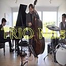 Picture for song 'Trio No. 5' by artist 'Pawel Jurdziak'