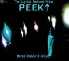 Picture for song 'Horror Dance!' by artist 'PEEK(ackod)'