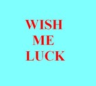 Picture for song 'Wish Me Luck' by artist 'Pete Dowan'