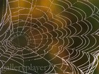 Picture for song 'Daydreams' by artist 'PhilF'