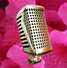 Picture for song 'cant help it' by artist 'pilot beacon deluxe'