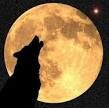 Picture for song 'Hunger Moon' by artist 'Pinecats'