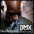 Picture for song ''LORD GIVE ME A SIGN' PM Remix-2006' by artist 'pk21productions'