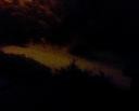 Picture for song 'Led by Bears (Into the Woods)' by artist 'Platonist'