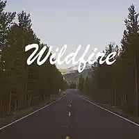 Picture for song 'Wildfire' by artist 'Popkanzlei'