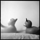Picture for song 'Good & Evil' by artist 'Presley Caudle (Lost Premier)'