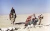 Picture for song 'Trevel on Camel' by artist 'Project OraCool'
