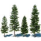 Picture for song '*NEW* Test Pines (HIP HOP)' by artist 'PURPS BEATS'