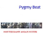 Picture for song 'Solong Shuffle 2011' by artist 'Pygmy Beat'