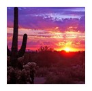 Picture for song '24. Lazy AZ' by artist 'Pyramid Music Group'