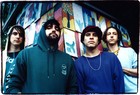 Picture for song 'My Girls - Animal Collective' by artist 'Radiance'
