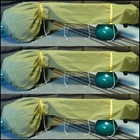 Picture for song 'Orchids on the Orinocco' by artist 'RagaPhonia'