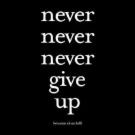 Picture for song 'Give Up Never' by artist 'Rakeem Andre'