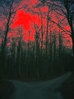 Picture for song 'Take Me Home' by artist 'RavenTales'