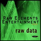 Picture for song '4 the Hustlers' by artist 'Raw Elements Entertainment'