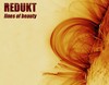 Picture for song 'Lines of Beauty' by artist 'Redukt'