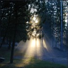 Picture for song 'Hello Morning' by artist 'Reed Burnam'