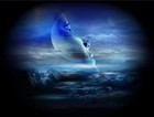 Picture for song 'I'll see you in my dreams' by artist 'Rex Reynolds'