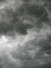 Picture for song 'A Storm Is Arising' by artist 'Larrie Raaygum'