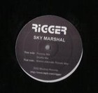 Picture for song 'Sky Marshal (Shuttle Mix)' by artist 'Rigger'