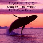 Picture for song 'Song Of The Whale, Pt. 1 (From Dawn)' by artist 'Rob Astor'