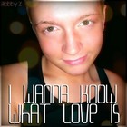 Picture for song 'I Wanna Know What Love Is' by artist 'Robby Z'