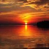 Picture for song 'Brand New Day' by artist 'Robert Plas'