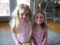 Picture for song 'Hair Is Important To A Girl' by artist 'Robin And The Giant'