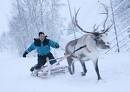 Picture for song 'The Stable Boy For Santa (2007)' by artist 'Robin And The Giant'
