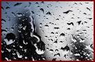 Picture for song '#239- The Night Rain (2002)' by artist 'Rob Lincoln'