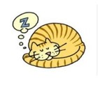 Picture for song 'I'm only sleeping' by artist 'Rocker'