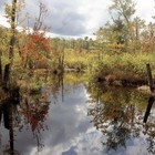 Picture for song 'Change In The Season (Solo)' by artist 'Rock On Songs'