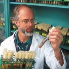 Picture for song 'What Do You Do' by artist 'Rock On Songs'