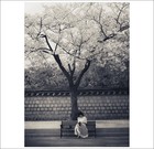 Picture for song 'Before the Piano' by artist 'Romeo Park Yoochun'