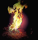 Picture for song 'The Eternal Flame' by artist 'Rory David'