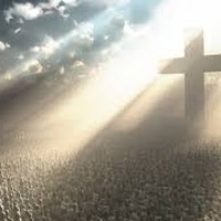 Picture for song 'WE RISE, SHINE' by artist 'Rosa A. Banks'