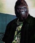 Picture for song 'King Kong (instrumental)' by artist 'Rzo'
